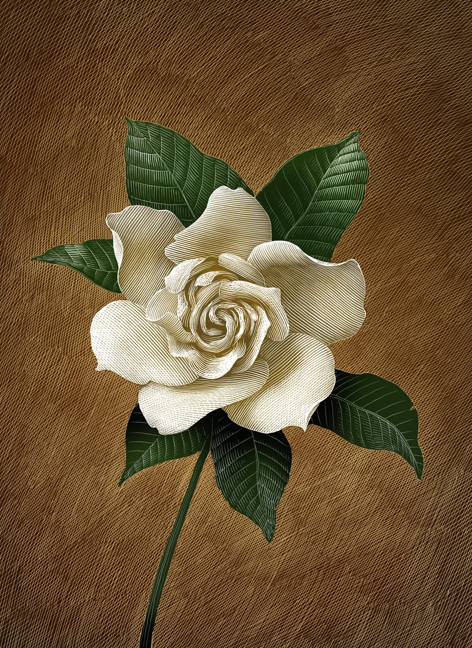 Gardenia, 2015 (skrapebrett, fargelagt digitalt) av Scott McKowen