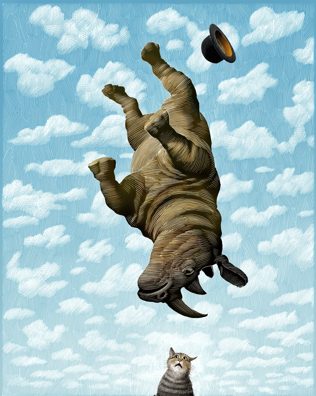 Neshorn, 2019 (skrapebrett, fargelagt digitalt) av Scott McKowen