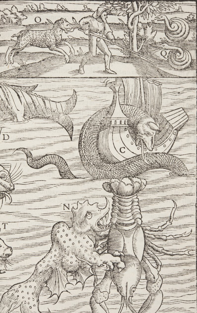 Cosmographia, Fol 853, 1544 av Sebastian Munster