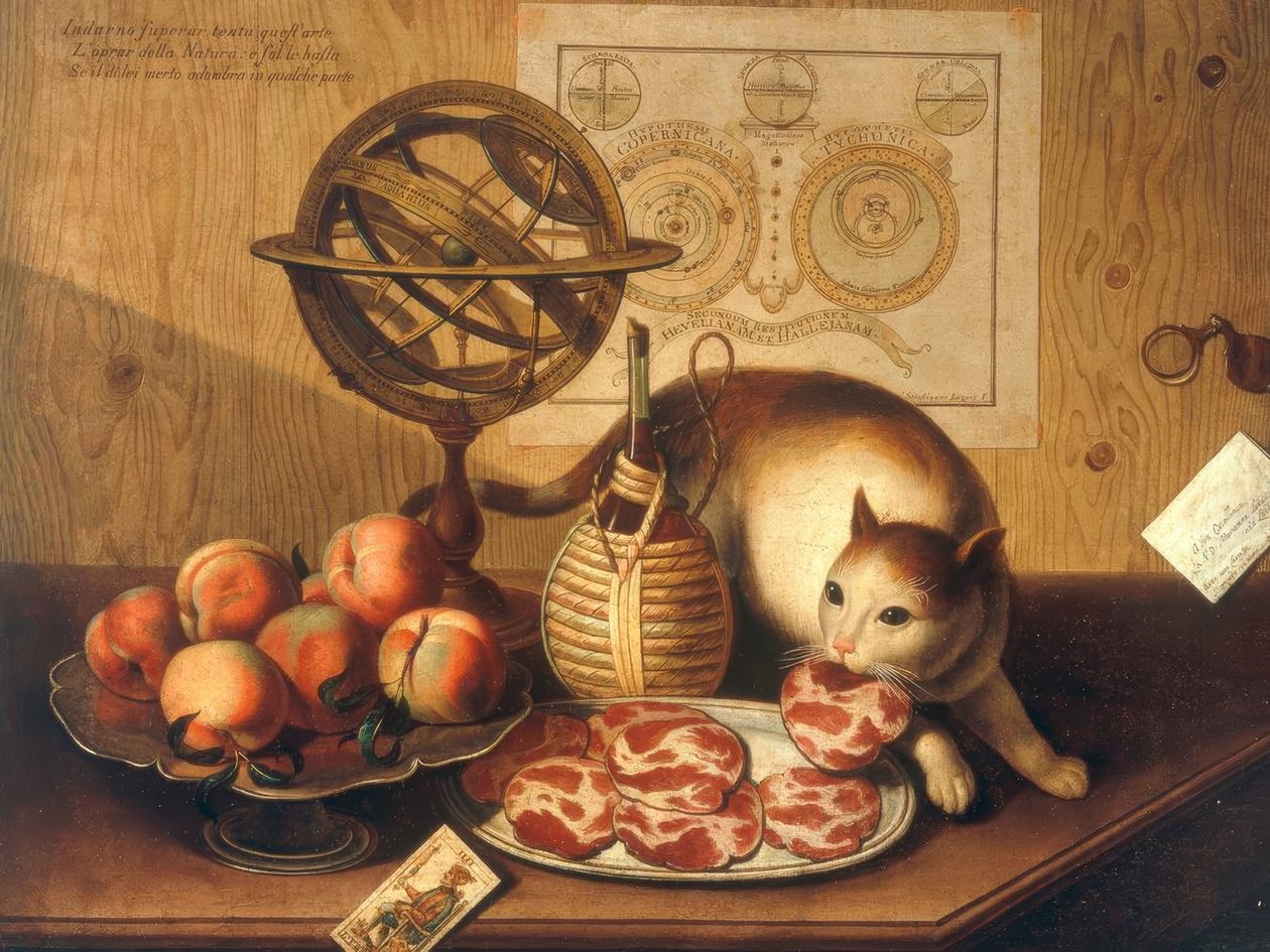 Stilleben med katt av Sebastiano Lazzari