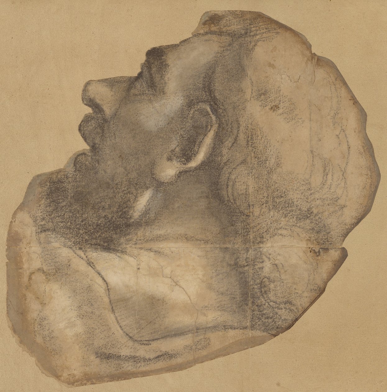 Kartong til hodet av den hellige Jakob av Sebastiano del Piombo