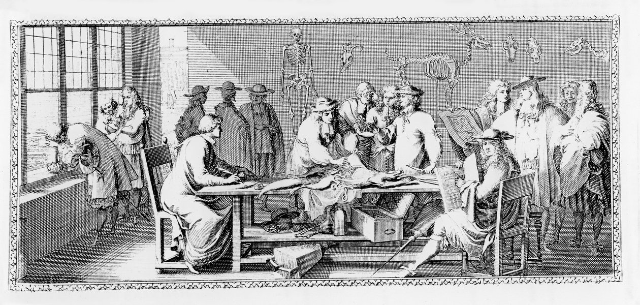 The Anatomy Lesson, (Disseksjon ved Jardin des Plantes) fra 
