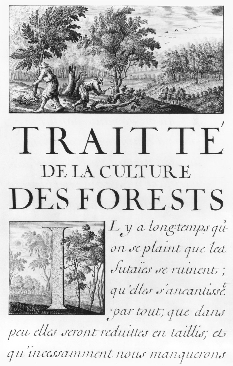 Ms 260 tome IV Frontispice av 