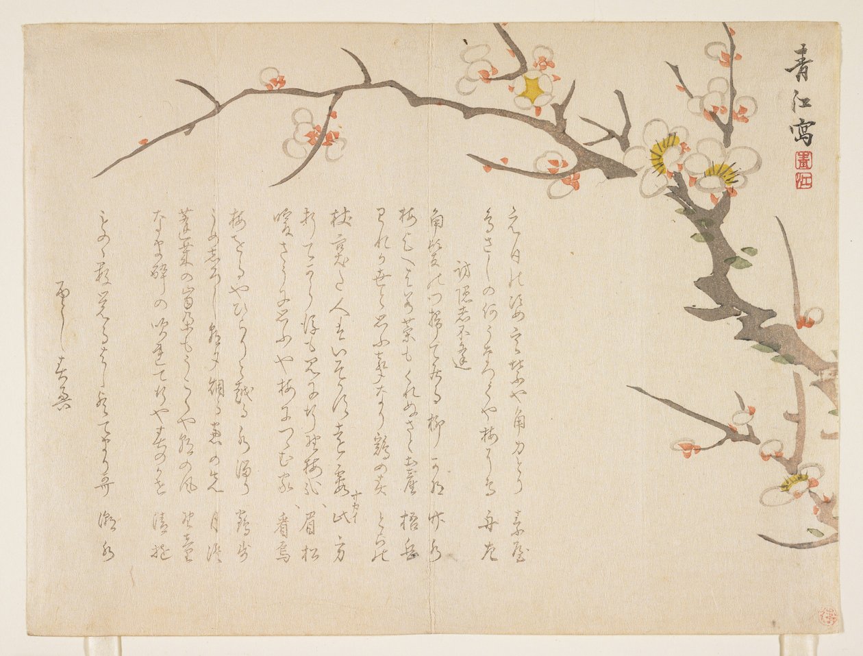 Blomstrende plomme, januar 1837 (farget treblokktrykk) av Seik Hashimoto
