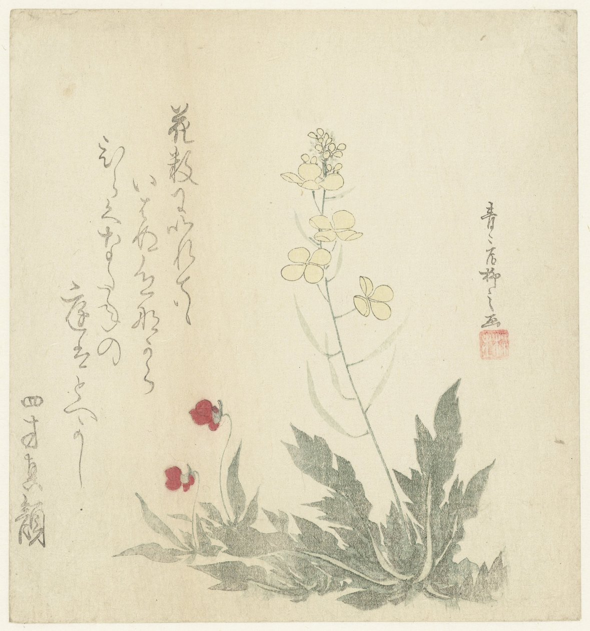 Blomsterplanter av Seiseikyo Ryûshi