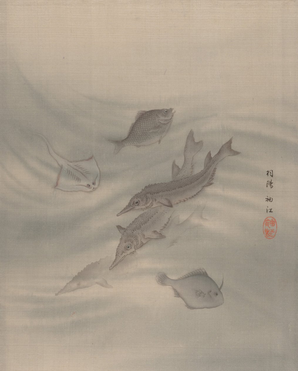 Fisk, ca. 1890-92. av Seki Shuko