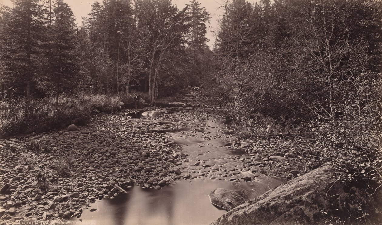 Marion River ved Bassett