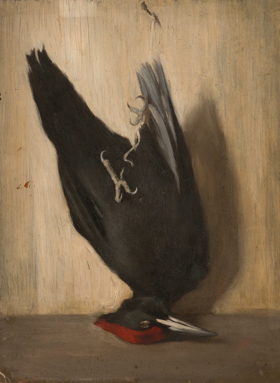  av Severin Falkman