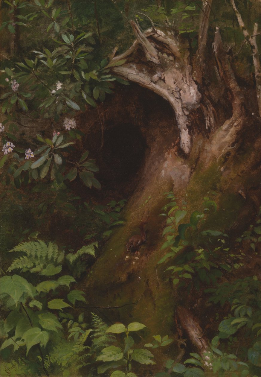 Ekornet, 1860-70-tallet. av Seymour Joseph Guy