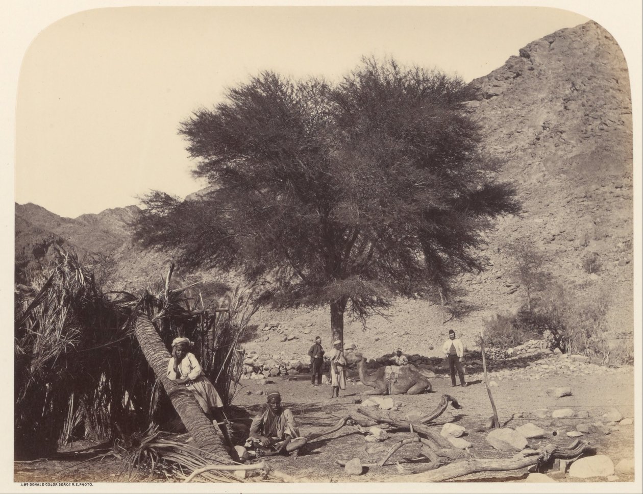 Seyal (Shittim) Tree, dedikert til skytshelgen, Wady Feiran av Sgt. James M. McDonald