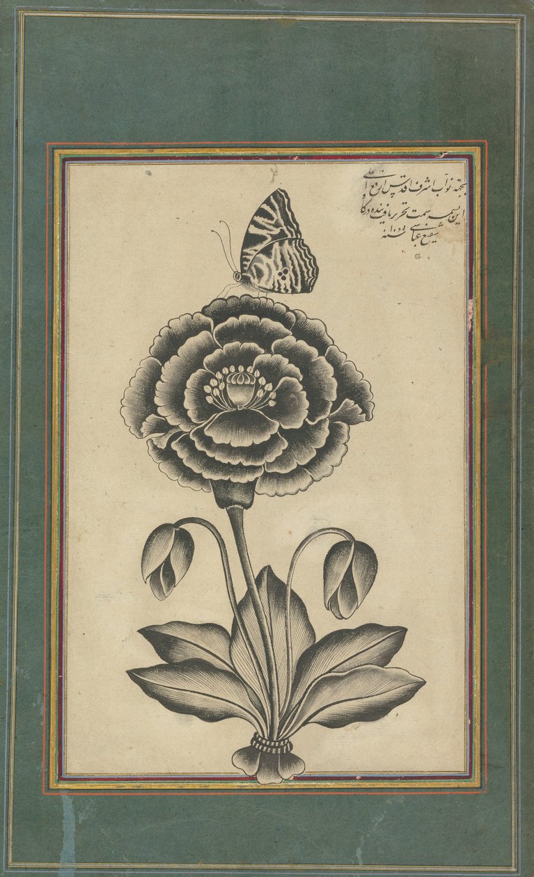 Blomst og en sommerfugl av Shafi