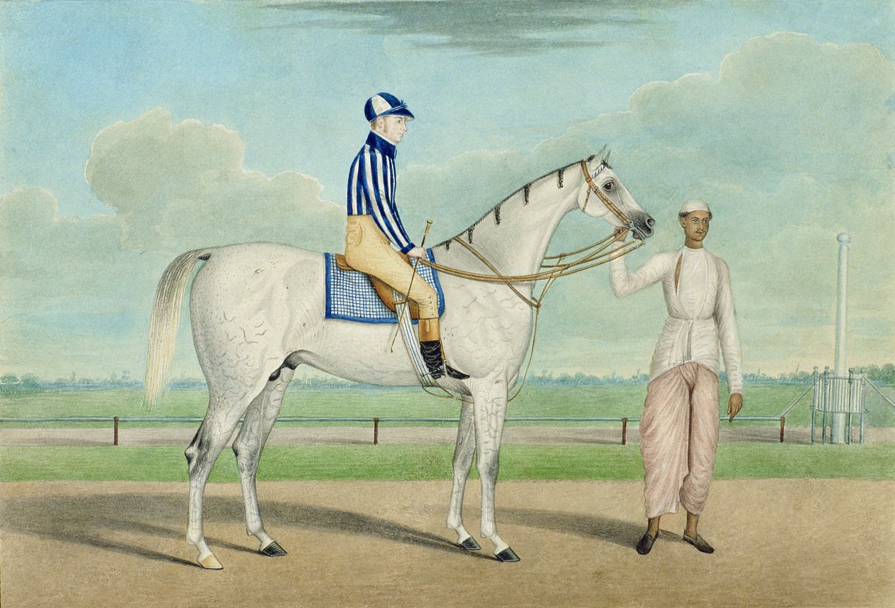 Veddeløpshest med jockey opp og stelle, Calcutta av Shaik Muhammad Amir of Karraya