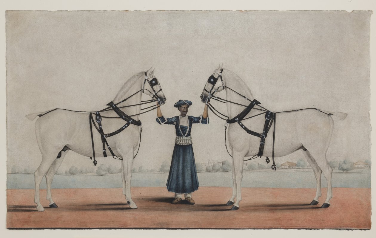 A Syce (Groom) Holding Two Carriage Horses, ca. 1845 (ugjennomsiktig akvarell på papir) av Shaik Muhammad Amir of Karraya (attr. to)