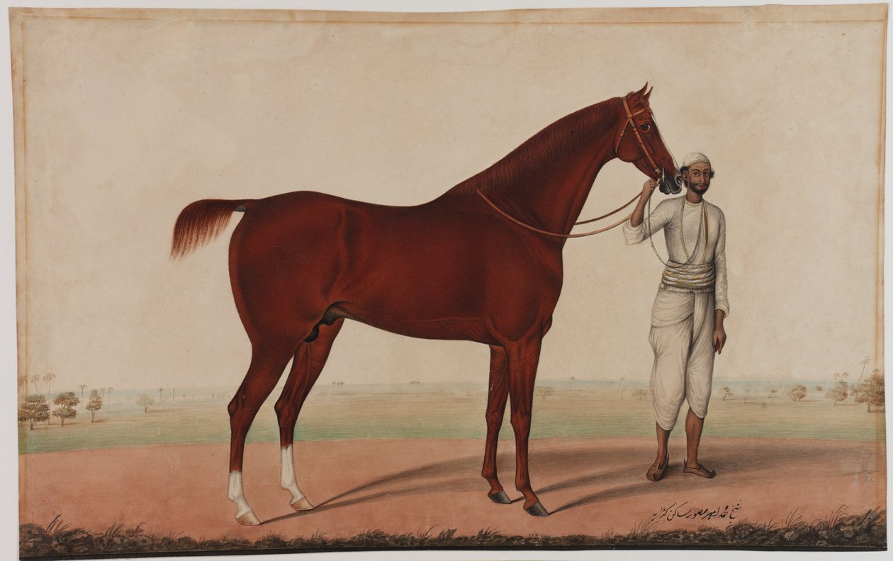 En hest og brudgom, ca. 1840 av Shaik Muhammad Amir of Karraya
