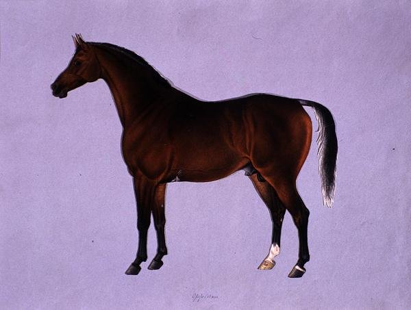 Oppidan, ca. 1840 (akvarell på papir) av Shaik Muhammad Amir of Karraya