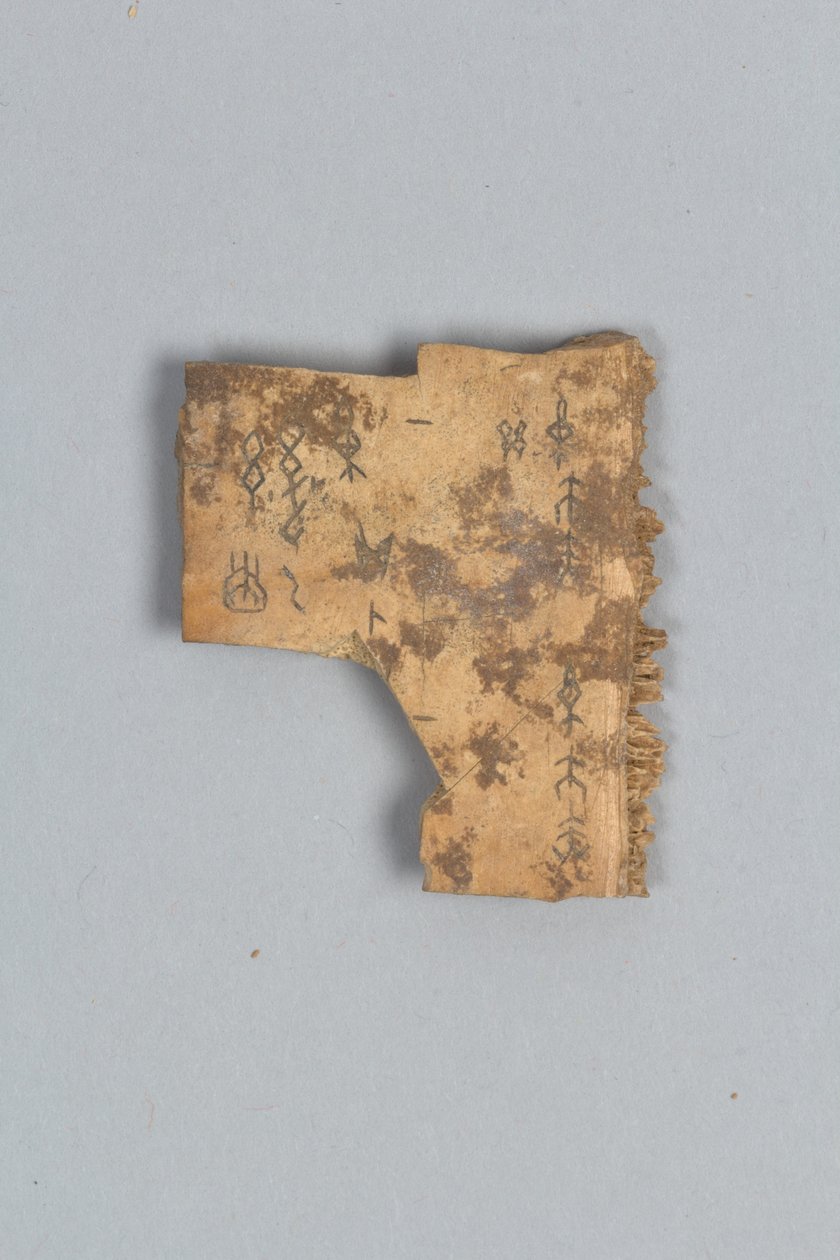 Fragment av Divining Bone (skall) av Shang Dynasty Chinese School