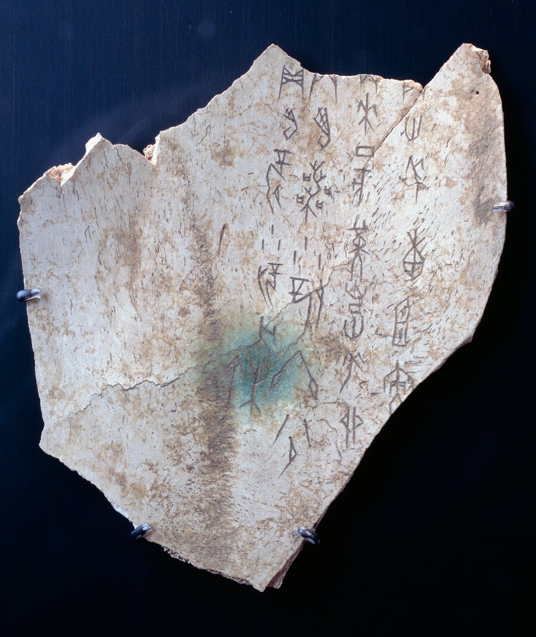 Piktogram på en okse scapula med et ritual for å avverge fare (bein) av Shang Dynasty Chinese School