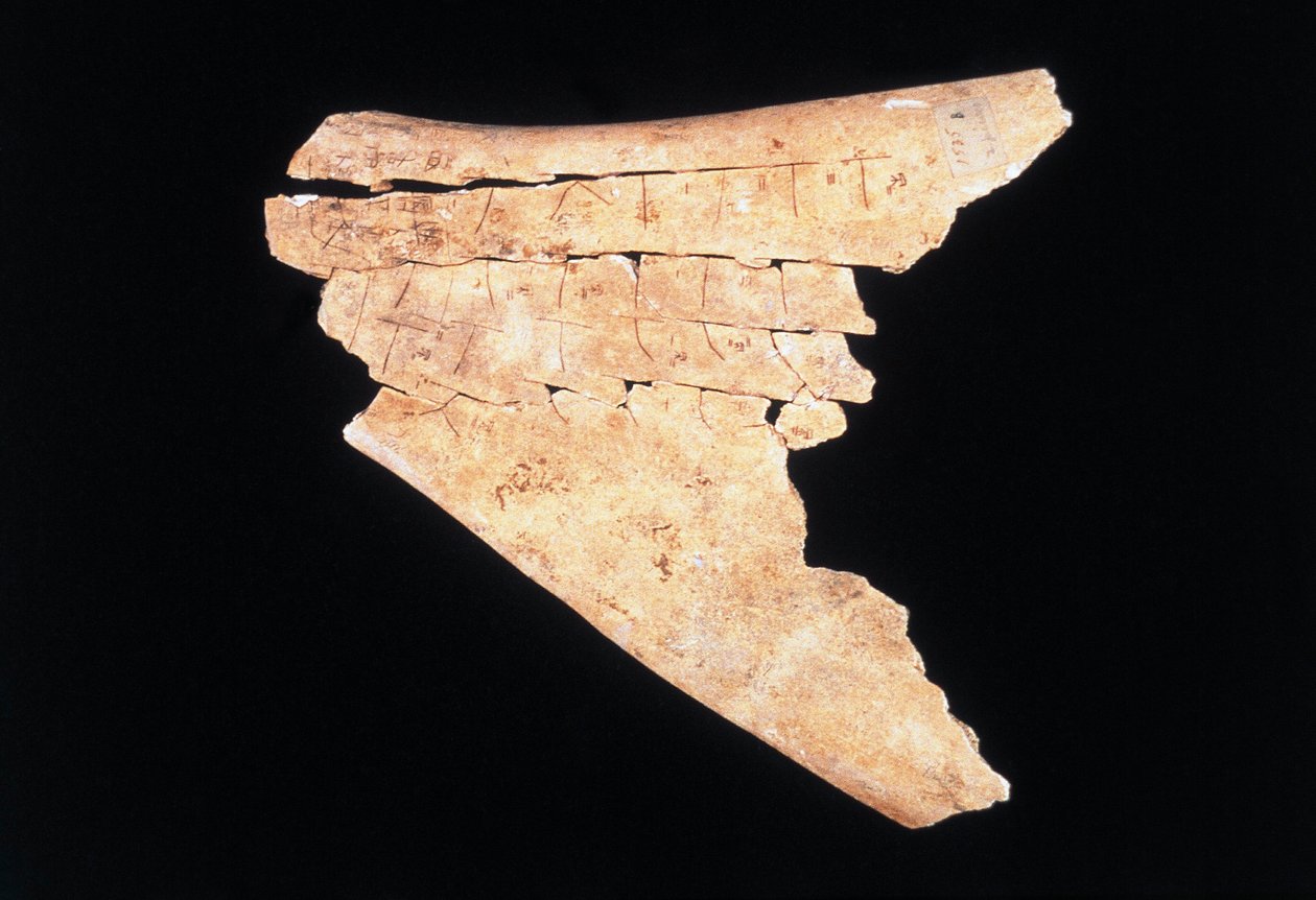 Piktogram på en okse scapula med et ritual for å avverge fare (bein) av Shang Dynasty Chinese School