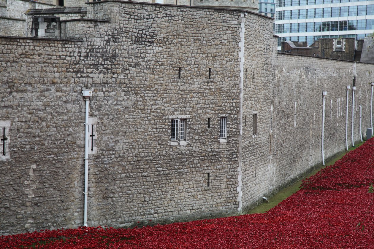 Blood Swept Lands and Seas of Red, Tower of London, 2014. av Sheldon Marshall