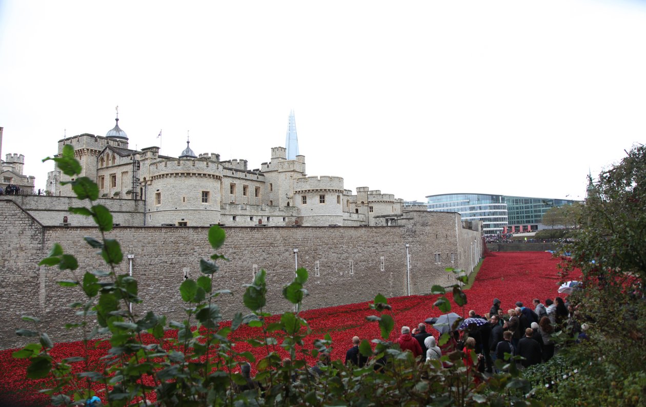 Blood Swept Lands and Seas of Red, Tower of London, 2014. av Sheldon Marshall