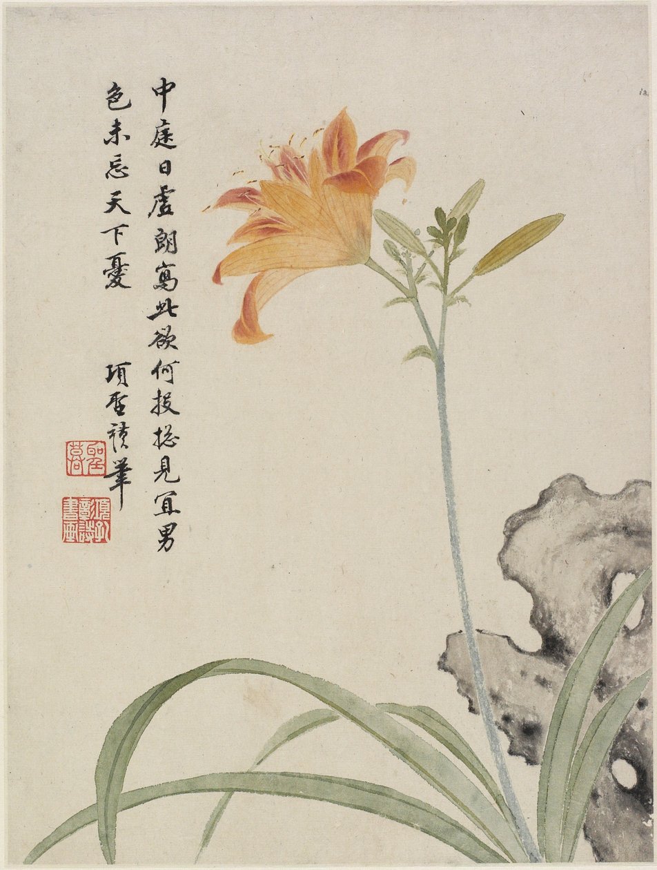 Day-Lily fra et blomsteralbum med ti blader, 1656 (blekk og farge på papir) av Shengmo Xiang