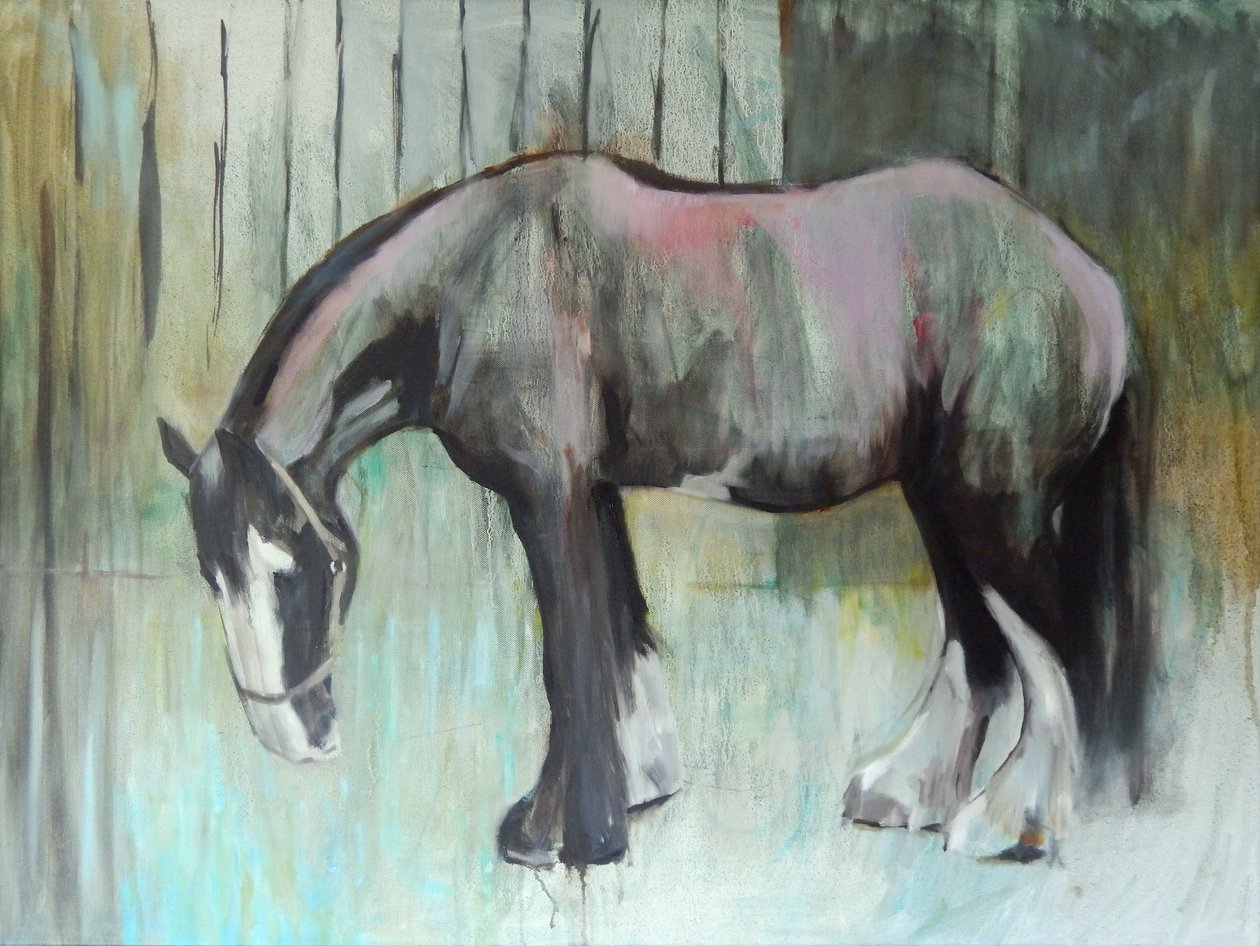 Morpheus i januar 2013 av Sheri Gee