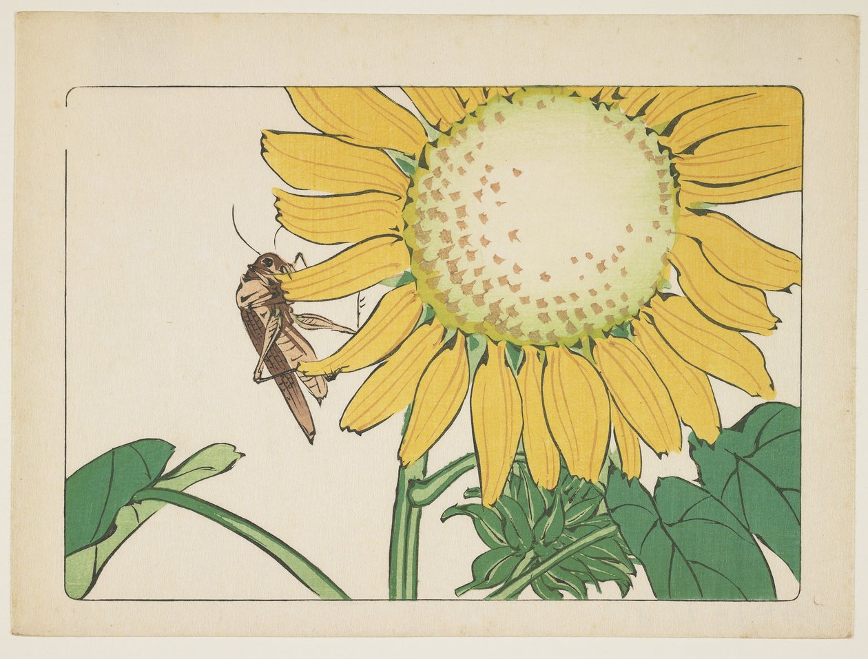 (gresshoppe og solsikke), ca. 1877 av Shibata Zeshin