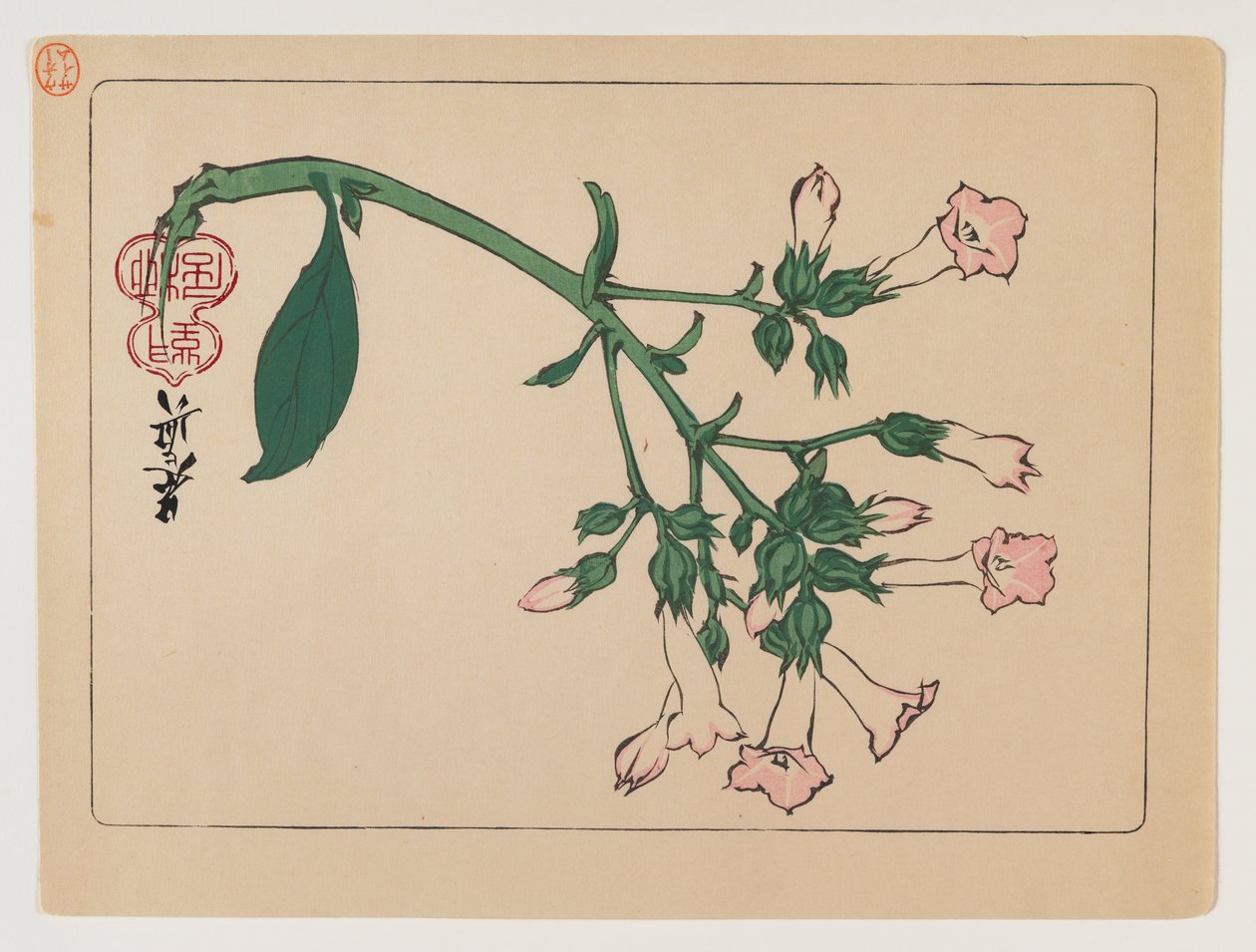 Blomstrende plante fra serien Hana Kurabe, ca. 1880 (fargetrykk av treblokk) av Shibata Zeshin