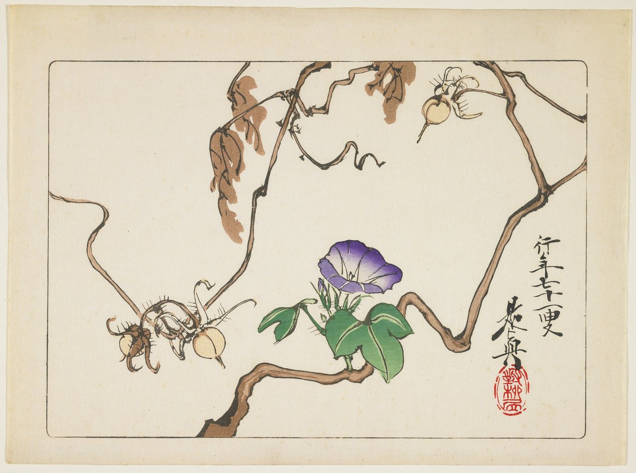 Vine and Seeds of Morning Glory, 1877 av Shibata Zeshin