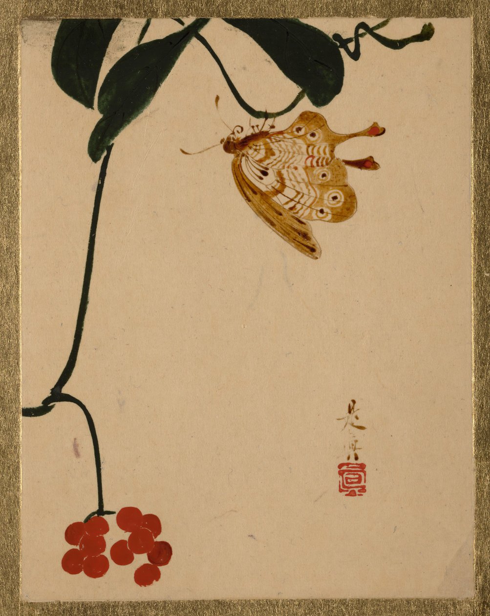 Red Berry Plant and Butterfly.    1155196   no       norwegian Successfully Translated  Original: Conway Castle, Caernarvonshire, North Wales, late 19th or early 20th century. Translat: Conway Castle, Caernarvonshire, North Wales, late 19th or early 20th c av Shibata Zeshin