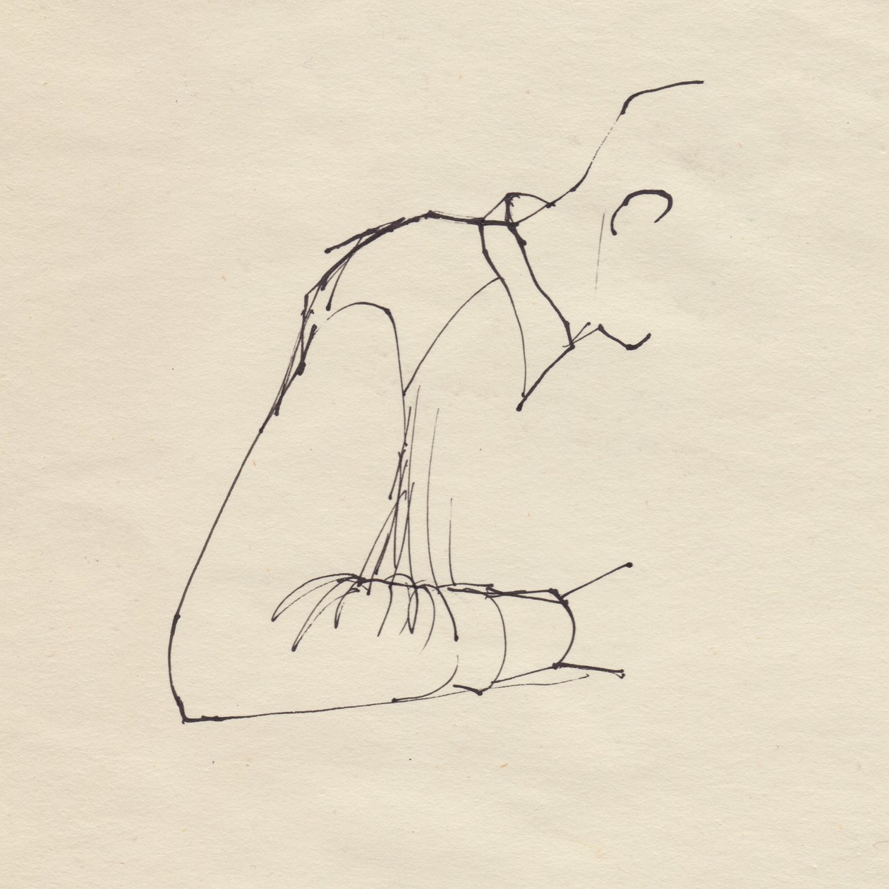 Manns arm, c1950. av Shirley Markham
