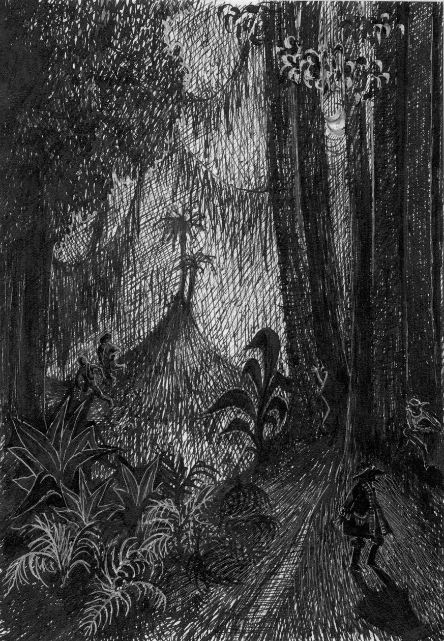 Pirat i regnskogen, 1953. av Shirley Markham