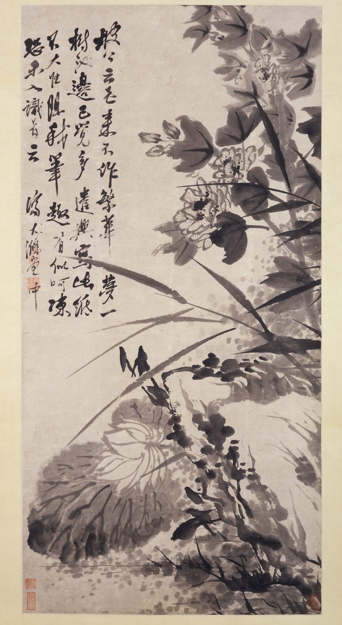 Hibiscus, Lotus og Rock, ca. 1705-7. av Shitao