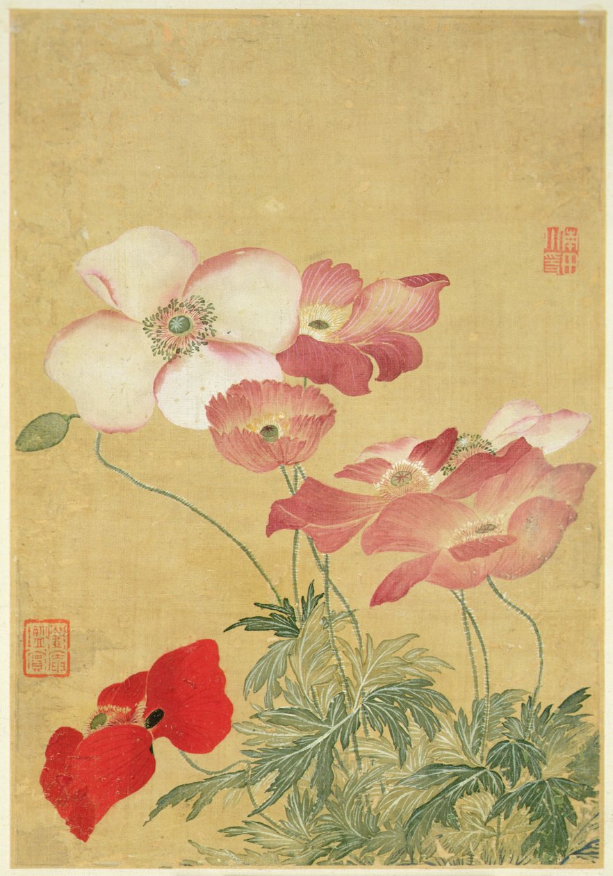 Bilde fra Album of Flower Paintings (akvarell) av Shouping Yun