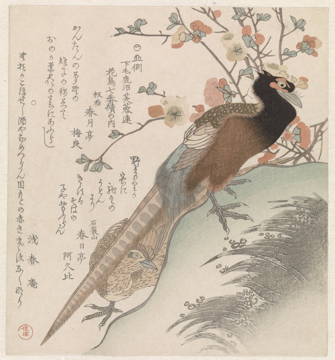 Fasaner for en blomstrende gren Syv bilder av fugler og blomster for Fuyôren Poetry Society of Kanuma fra Shimotsuke-provinsen (serietittel) Yamagawa Shimotsuke Kanuma Fuyôren kachô shichiban tsuzuki no uchi (serietittel på objekt) av Shunman