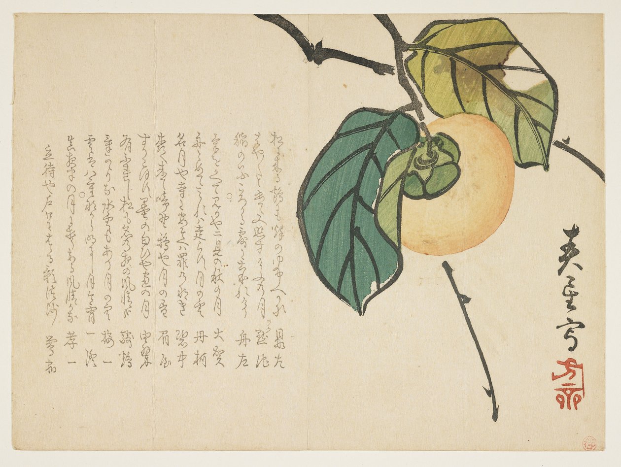 Persimmon, ca. 1854-59 (farget treblokktrykk) av Shunsei