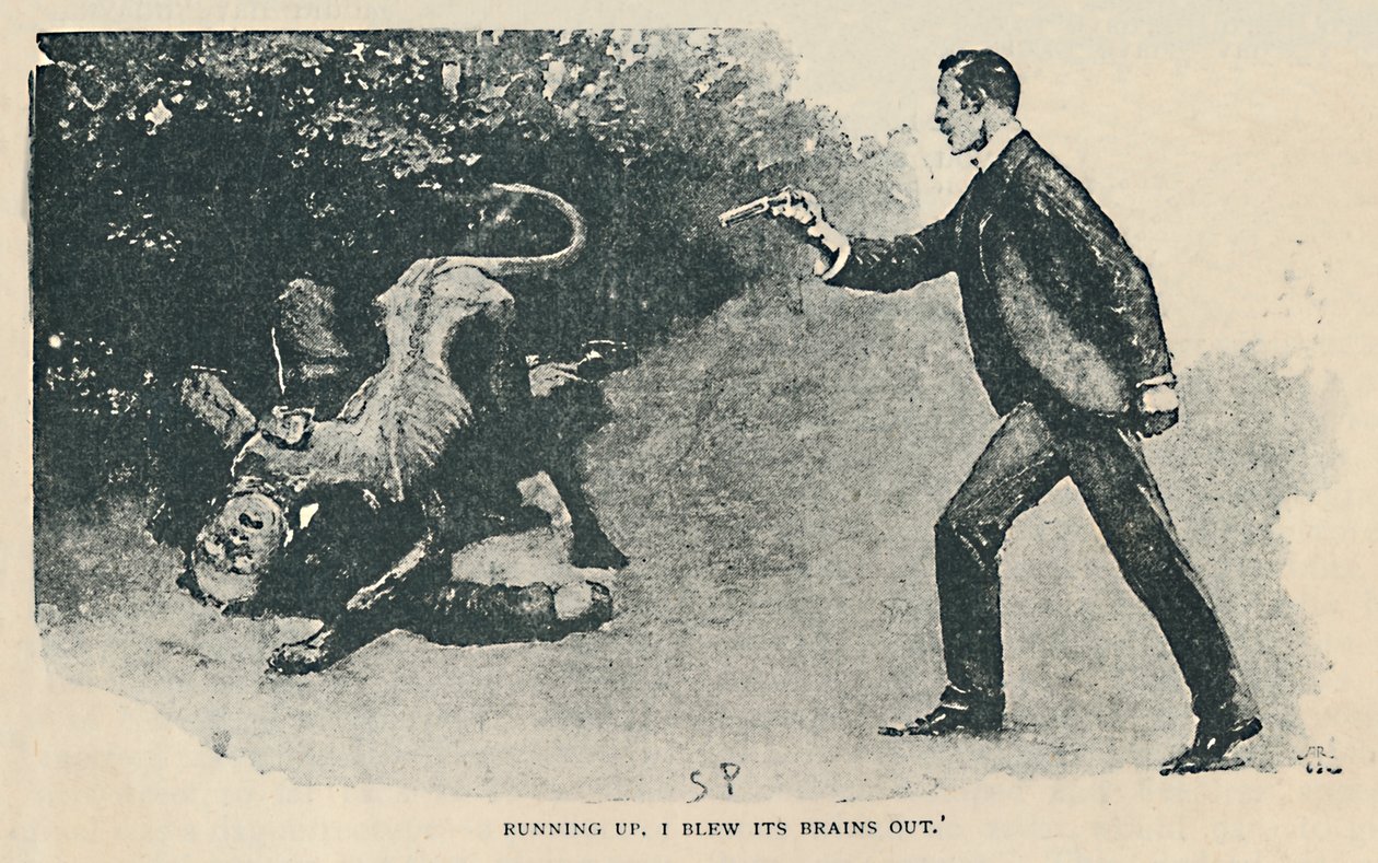Løper opp. I Blow Its Brains Out, 1892 av Sidney Paget