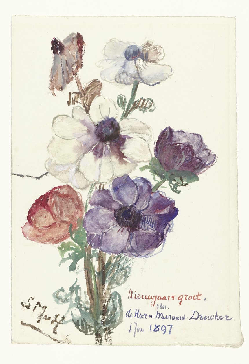 Nyttårshilsener med anemoner av Sientje Mesdag van Houten