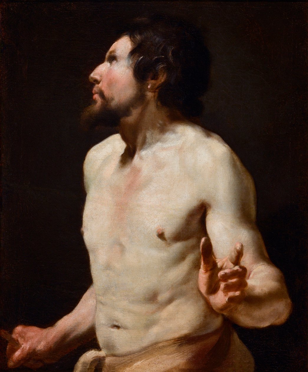 Studie av torso-maleri fra skolen til Simon Vouet (1590-1649) (maleri) av Simon (circle of) Vouet