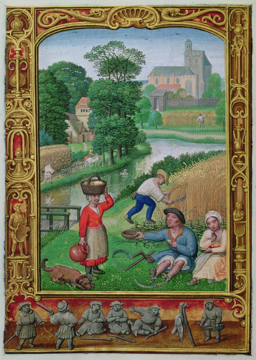 Legg til 24098 f.25v august: Høsting nær en elv, fra en timebok, eller golfboken, ca. 1520-30 (vellum) av Simon (workshop of) Bening