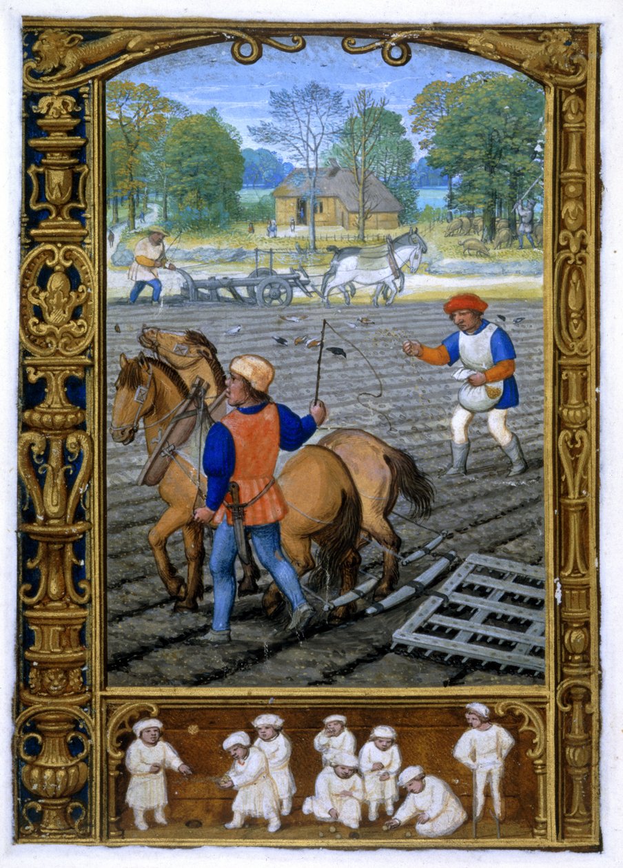Legge til. 24098, f.26v september: Pløying og såing, fra en timebok, eller golfboken, ca. 1520-30 (vellum) av Simon (workshop of) Bening