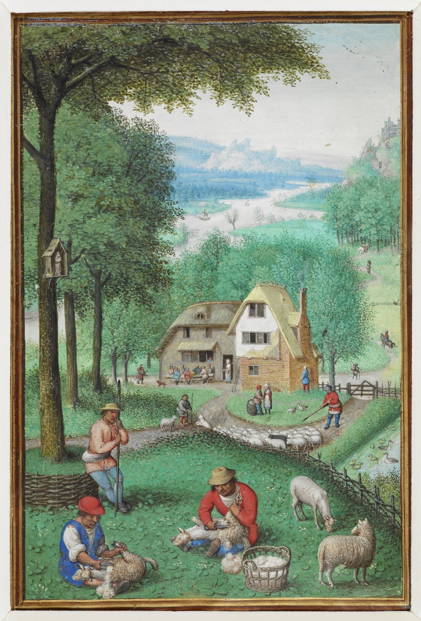 (Hel folio) Kalenderminiatyr for juni som viser to menn som klipper sauer, med en hytte i bakgrunnen. av Simon Bening