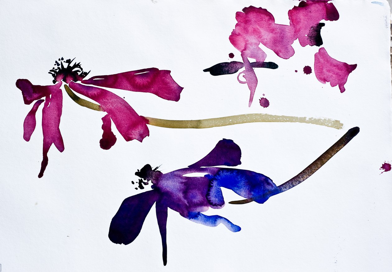 Anemoner (akvarell på papir) av Simon Fletcher