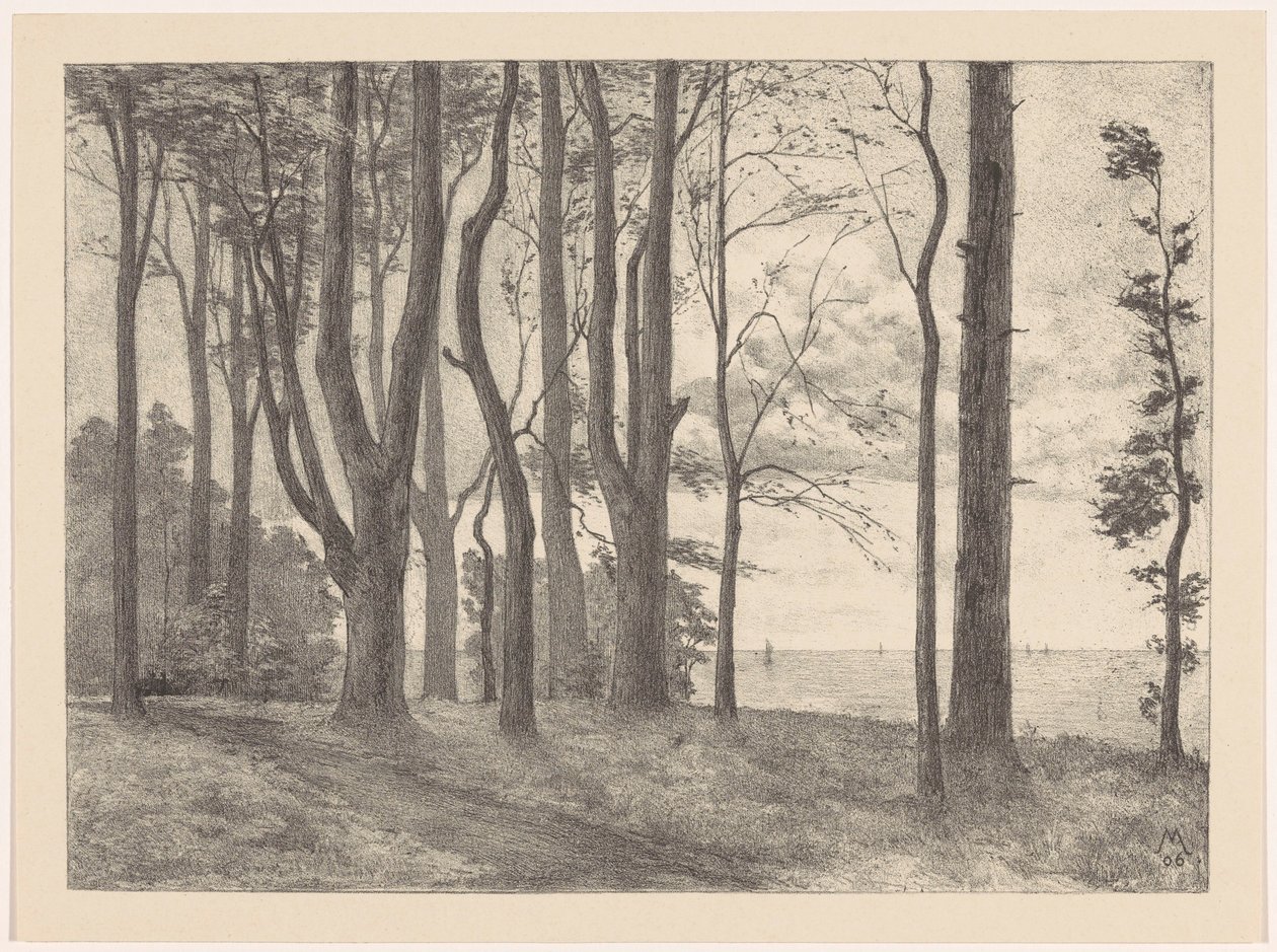 Trær ved vannet med seilbåter Valkeveen (original tittel) av Simon Moulijn