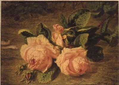 Rosa roser av Simon Saint Jean