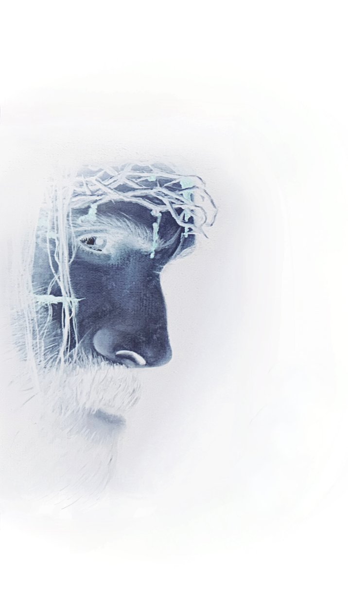 Jesus med tornekrone av Simone Amon