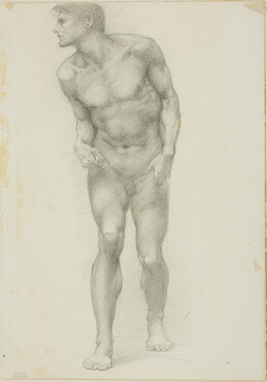 Stående naken mann med ansikt i profil av Sir Edward Burne Jones