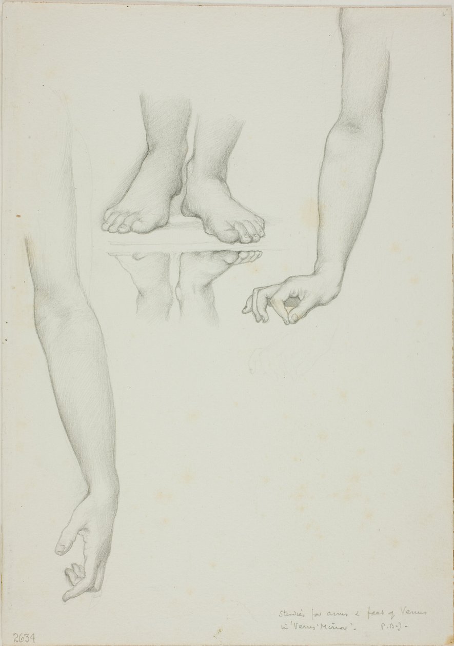 Studie for Mirror of Venus: Arms and Feet of Venus av Sir Edward Burne Jones