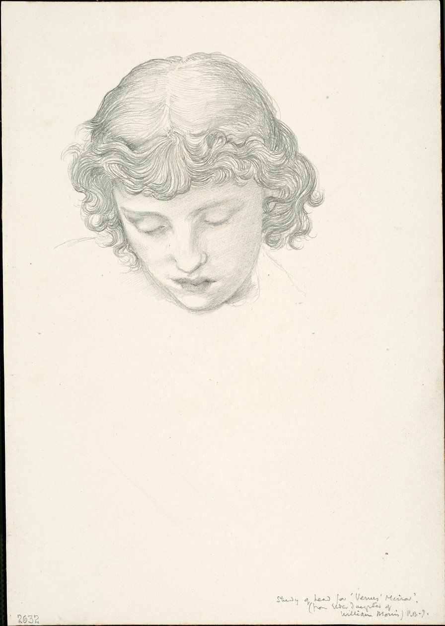 Studie for Mirror of Venus: Head av Sir Edward Burne Jones