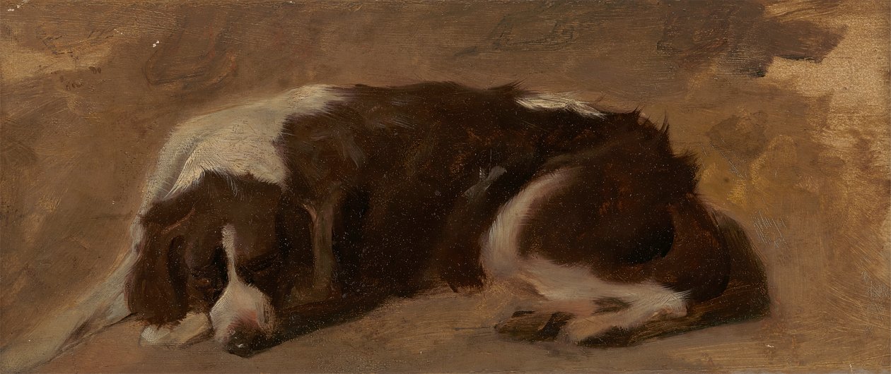 En spaniel som ligger av Sir Edwin Henry Landseer